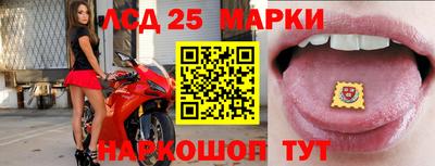амф Новодвинск