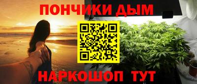 амф Новодвинск
